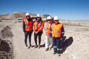 Programa practicas Veltis